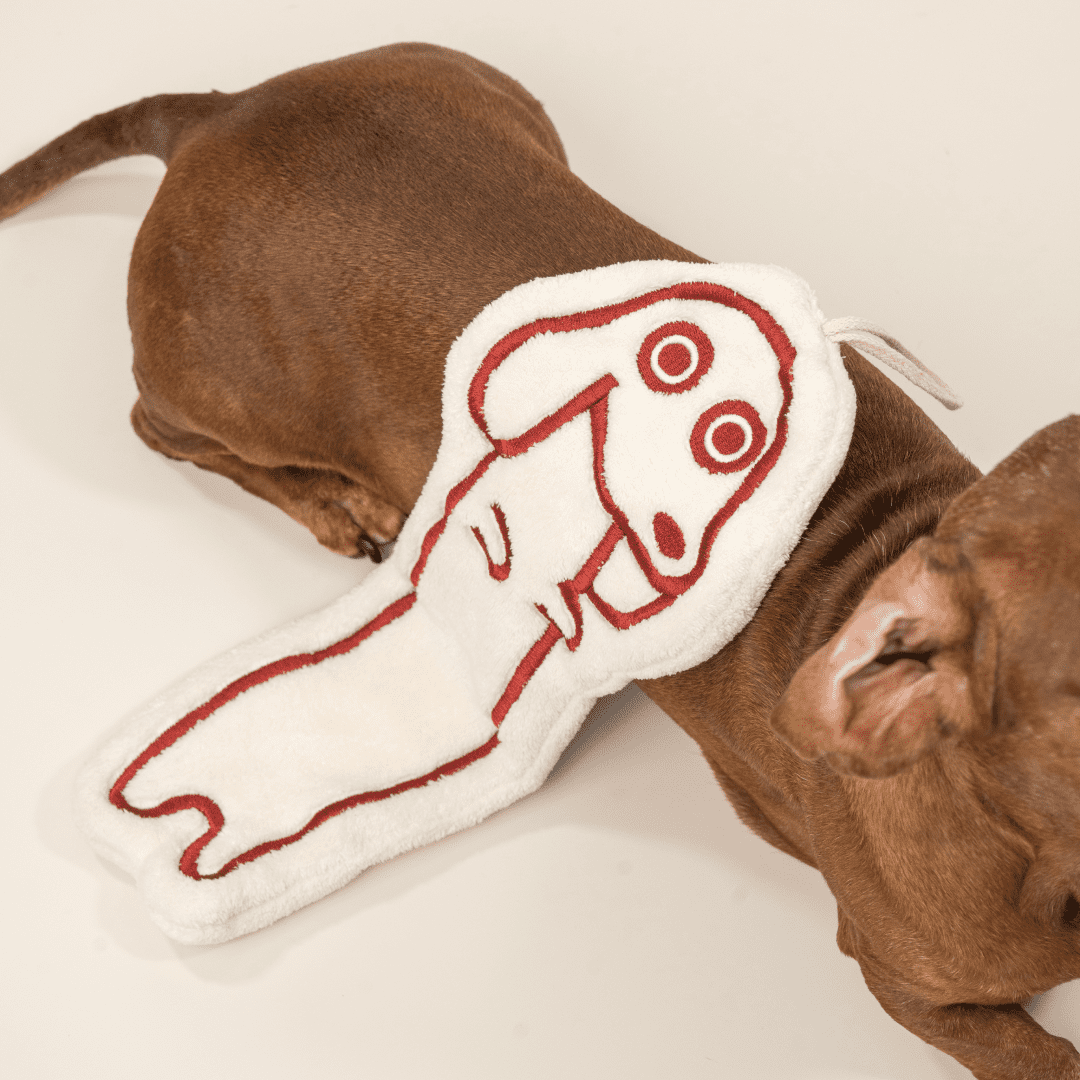 paaaata – Hand Towel | Dachshund design | Soft and Fluffy