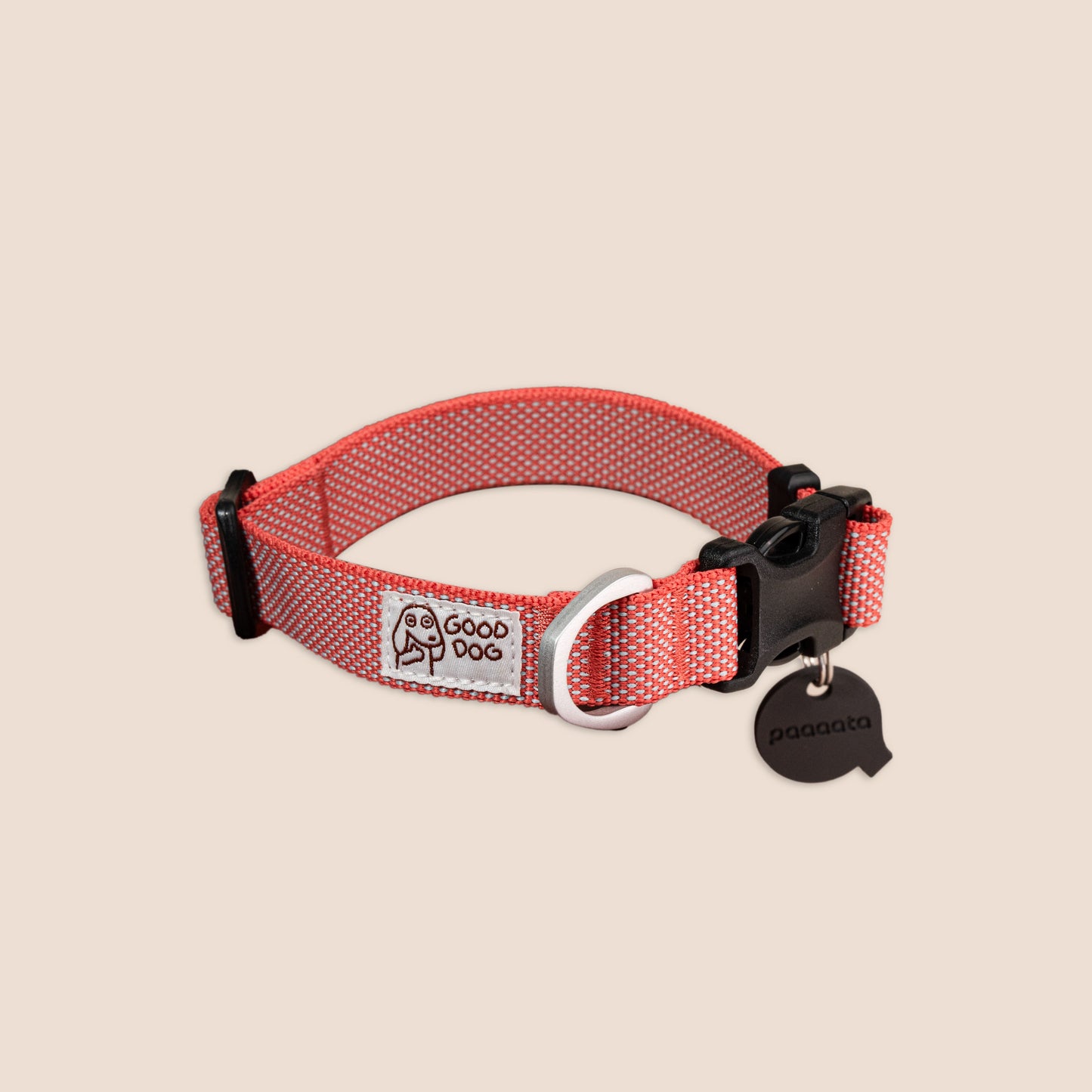 paaaata Dog Collar | Lightweight | Durable | Washable