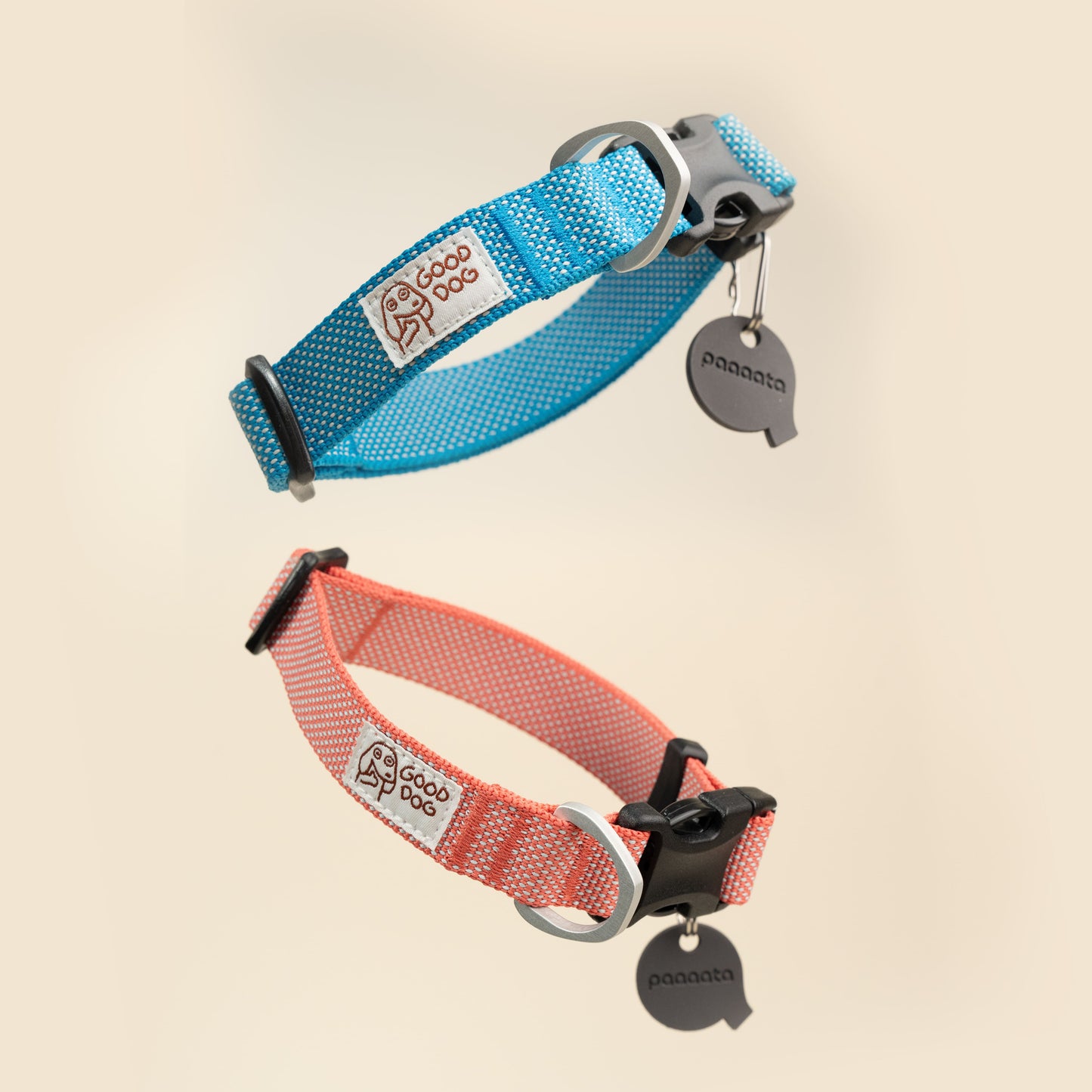 paaaata Dog Collar | Lightweight | Durable | Washable
