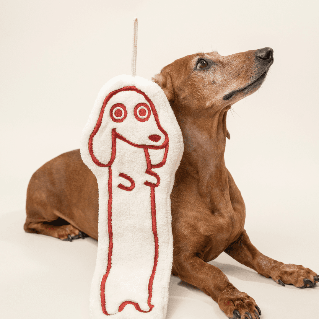 paaaata – Hand Towel | Dachshund design | Soft and Fluffy