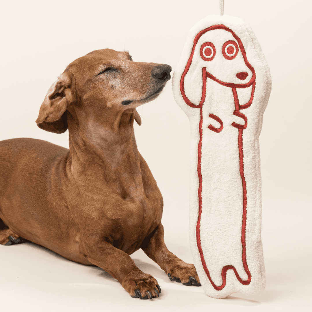 paaaata – Hand Towel | Dachshund design | Soft and Fluffy