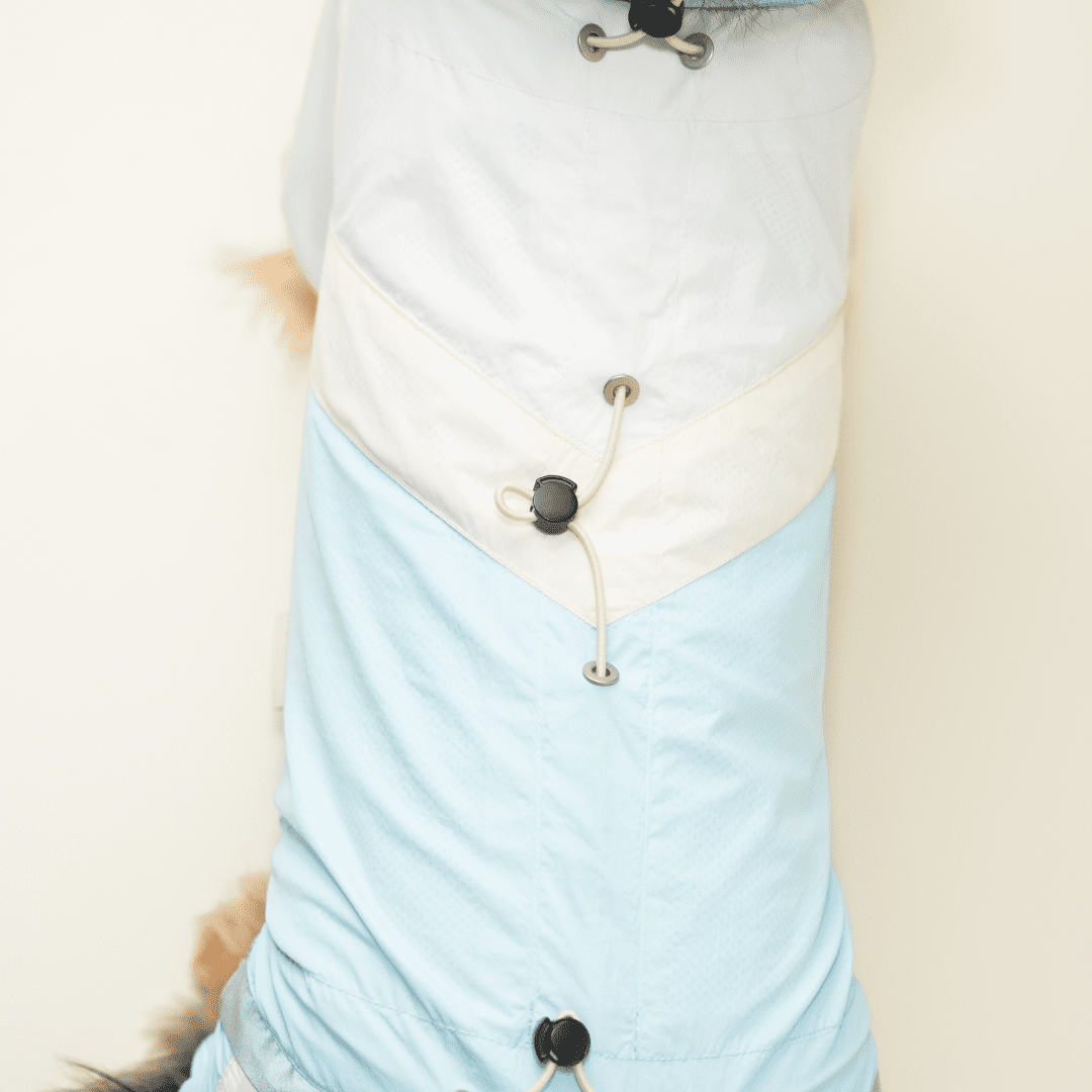 paaaata - PawPaw Suit | Dachshund Jacket
