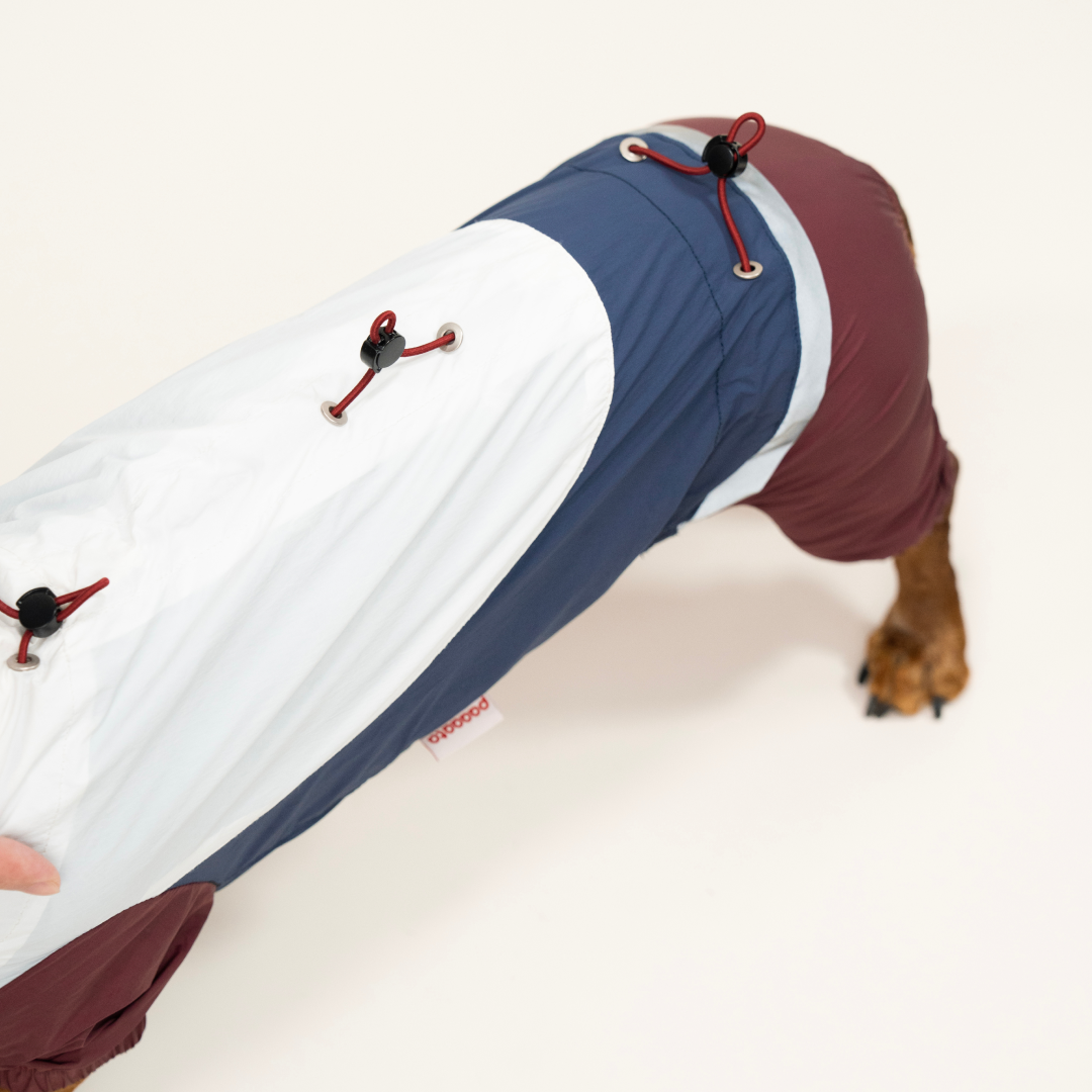 paaaata - PawPaw Suit | Dachshund Jacket