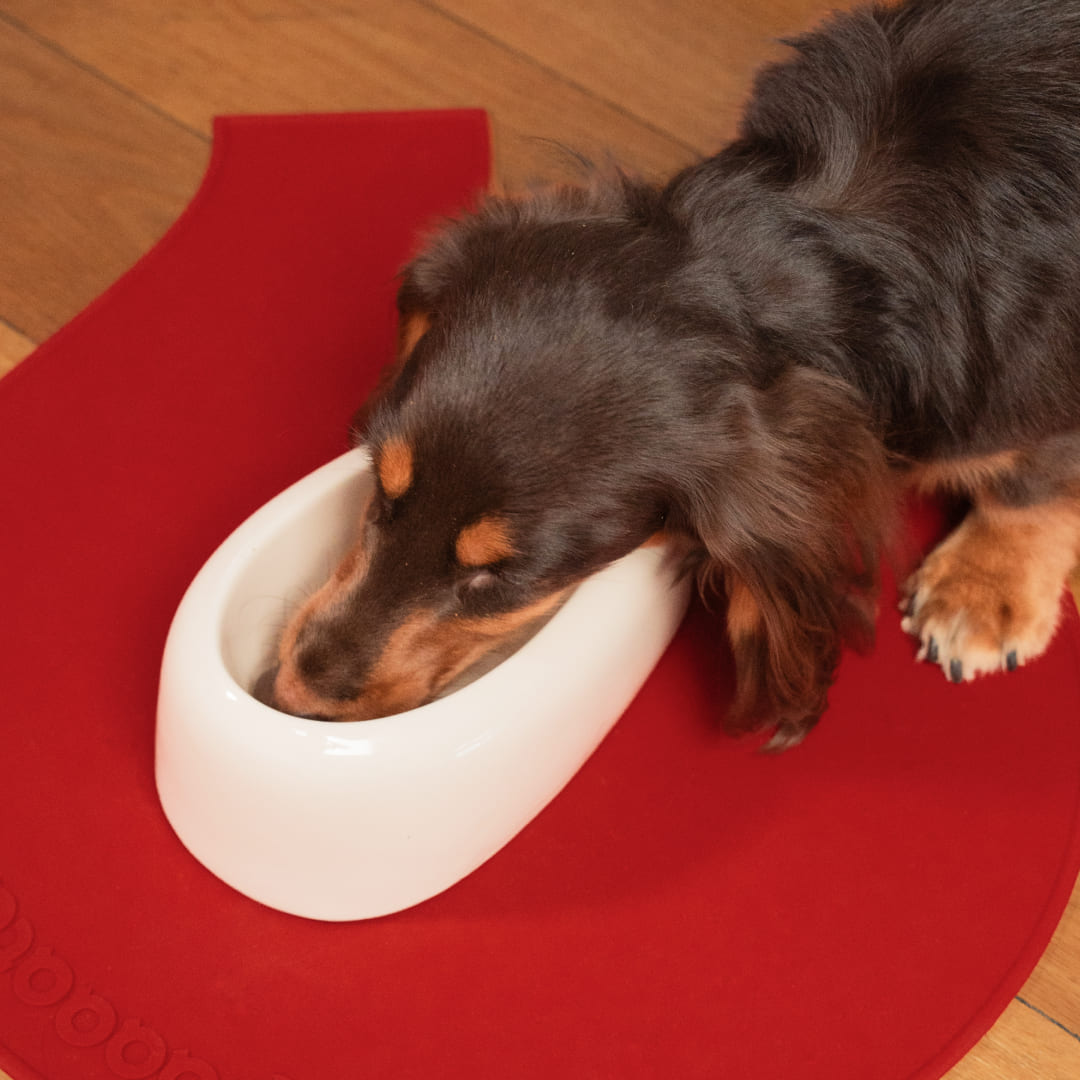 paaaata – Signature Long Eared Dog Bowl & Mat Set