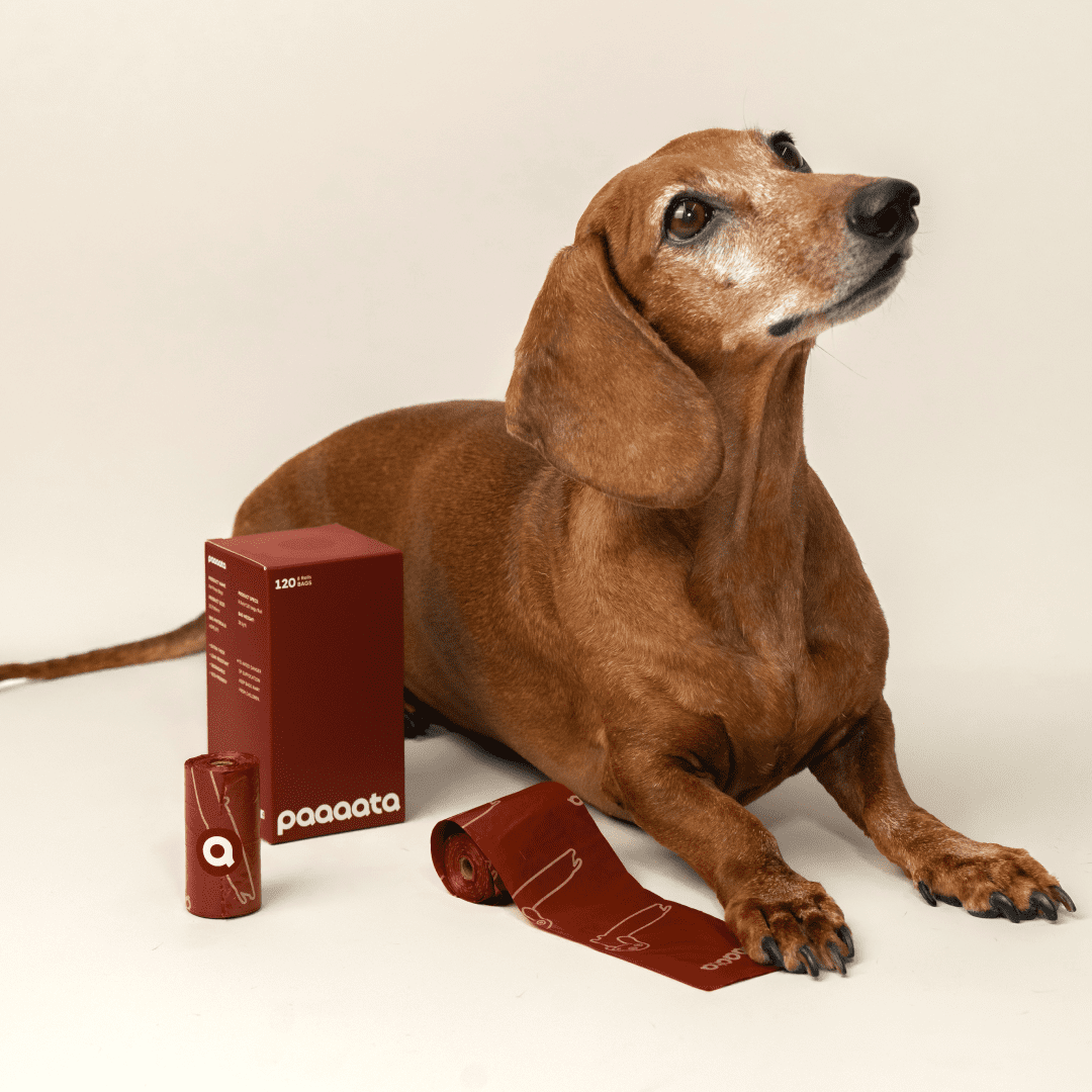 paaaata - Poopy Bag | Cedarwood scent