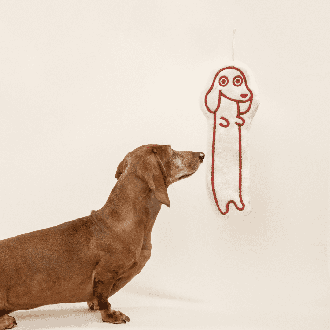 paaaata – Hand Towel | Dachshund design | Soft and Fluffy