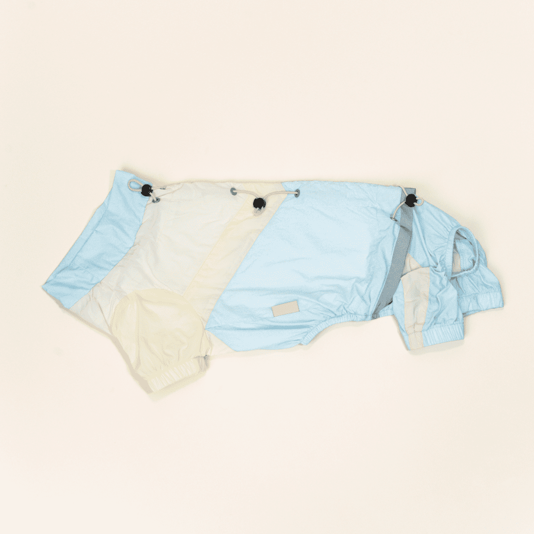 paaaata - PawPaw Suit | Dachshund Jacket